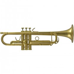 John Packer JP251SWFG: Bb Trumpet Frosted Gold