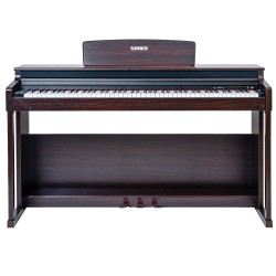 Dench D110-SR Digital Piano With Bluetooth (Rosewood)