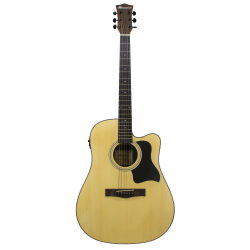 Haineswood Shoreline SHD60CE Dreadnought Cutaway Electro